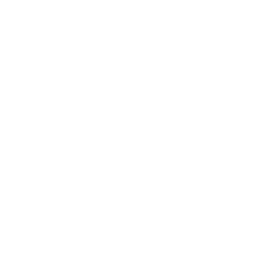 Mrs Sublime Bakes